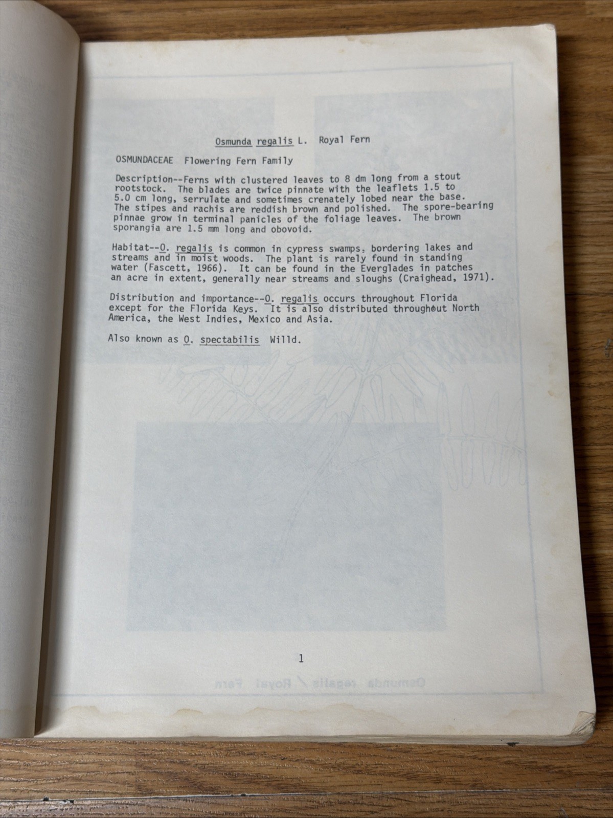 1979 State Of FL Dept Of Environmental Regulation Guide To Wetland Plants Manual