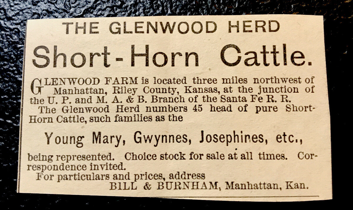 1883 Bill & Burnham Cattle Advertising – Manhattan – Kansas – Cow – Farm