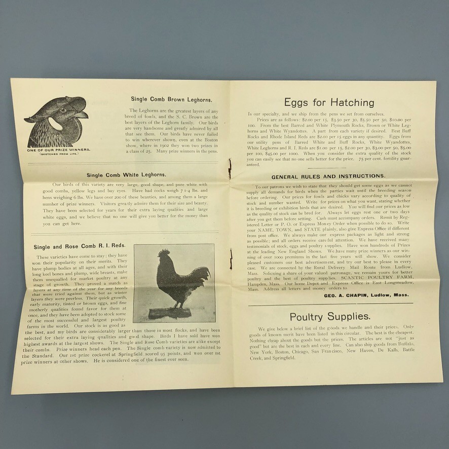 1904 Scantic POULTRY FARM Leghorns CHICKEN RI Red Antique Advertising HAMPDEN MA