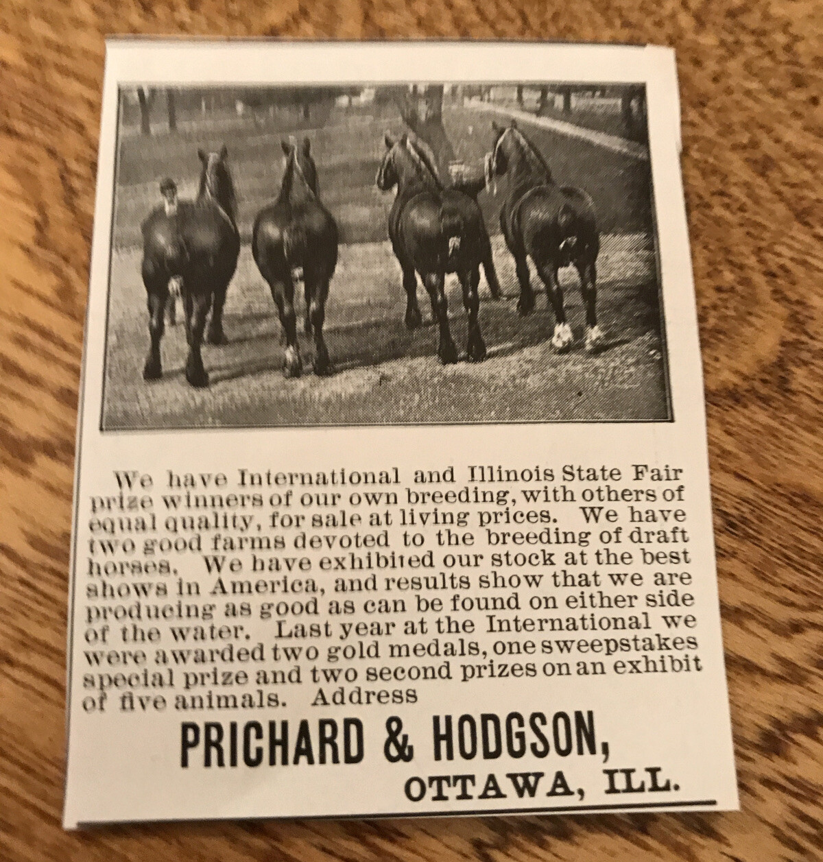 1903 Prichard & Hodgson Horse Advertising – Ottawa – Illinois