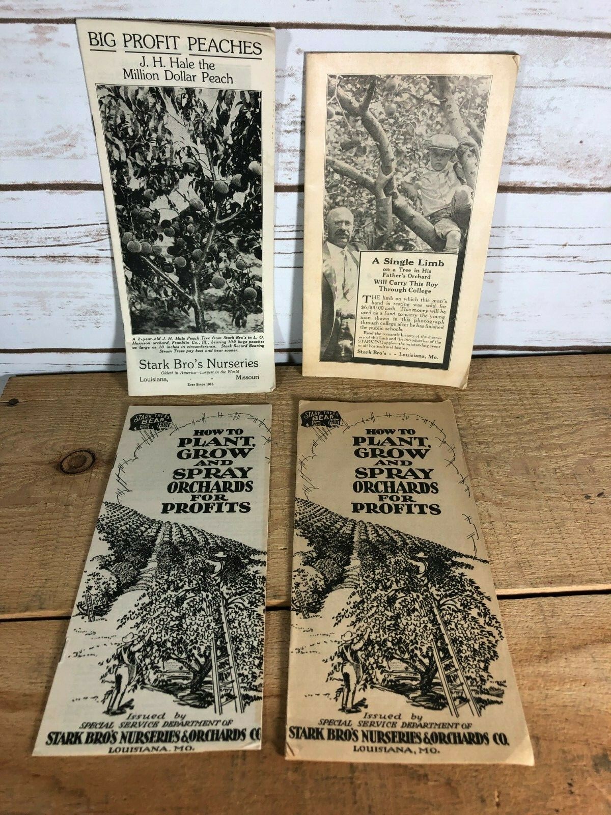 4 Vintage 1930s Stark Bro’s Nurseries Orchard Fruit Trees Brochures Catalogs