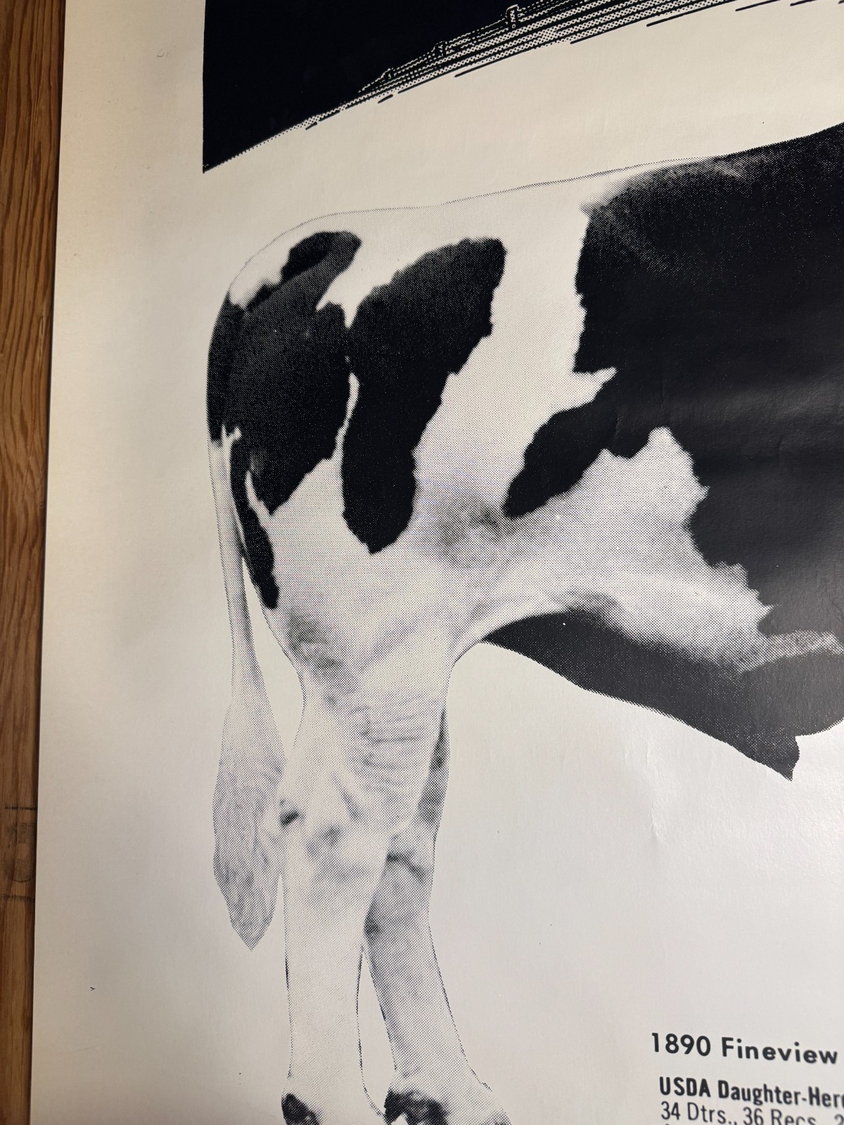 VTG 1970 King Bull on Production “KBOP” ABS American Breeders Service Ad Poster
