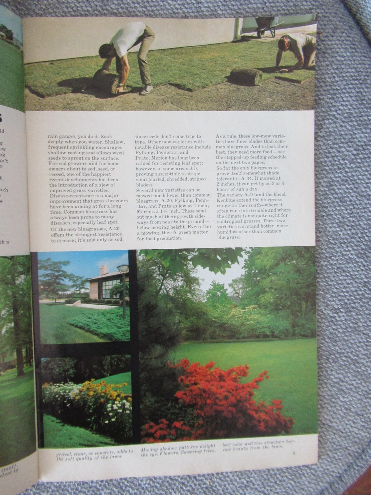 Ortho Chevron Lawn and Garden Book Brochure BA Chemical Company 34 pages 1970