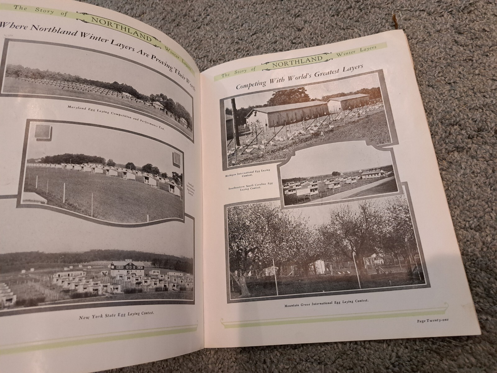 1928 Northland Winter Layers Poultry Catalog Chickens