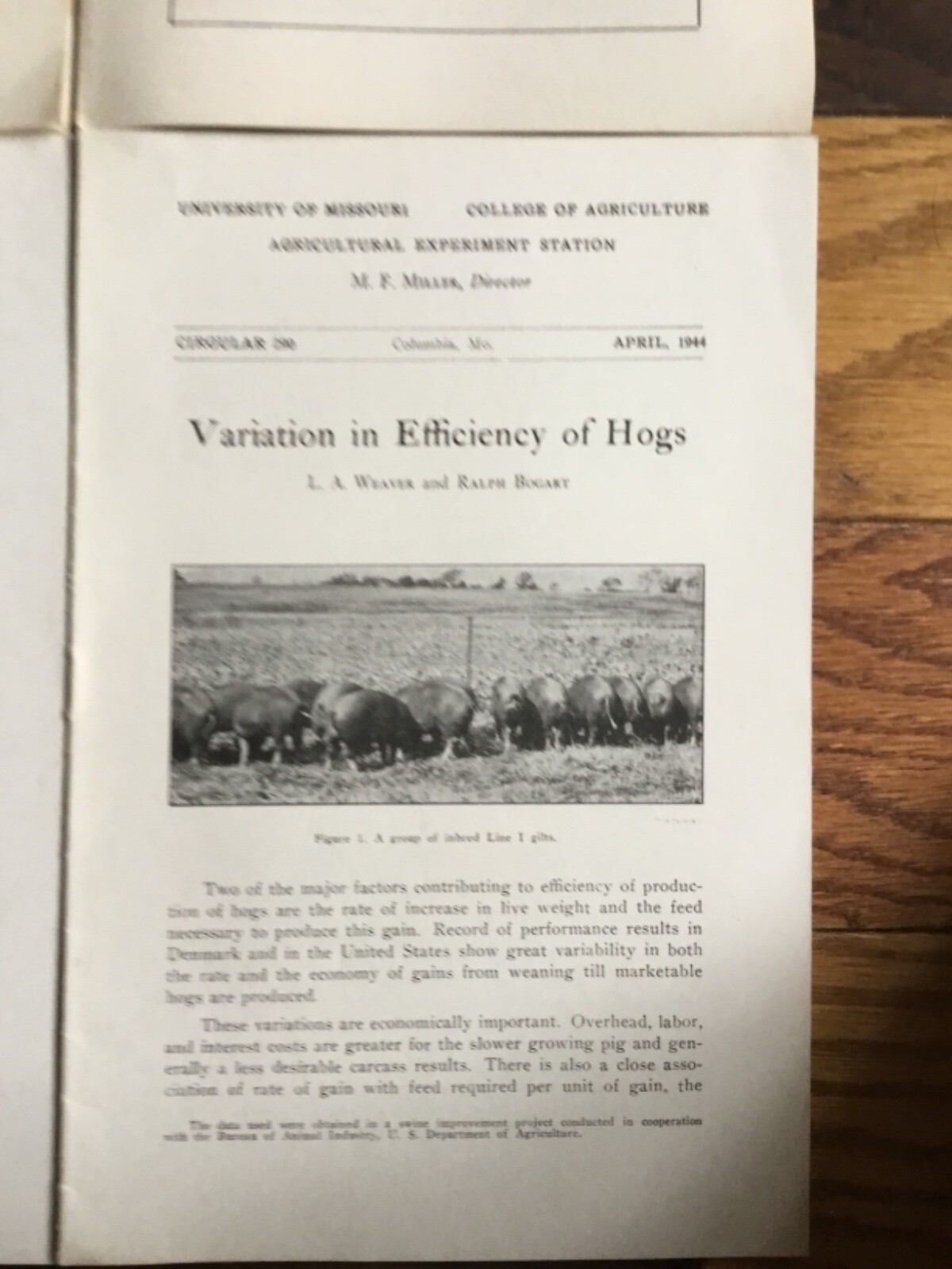 WWII Era Brochure x4 Univ. of MO Hog farming, weaning, efficiency + 1930’s-40’s