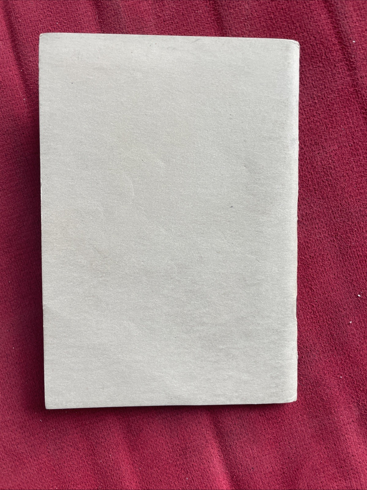 Progressive Hog Raising Booklet 1918 Vintage Original