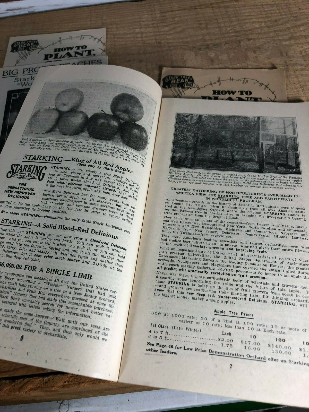 4 Vintage 1930s Stark Bro’s Nurseries Orchard Fruit Trees Brochures Catalogs