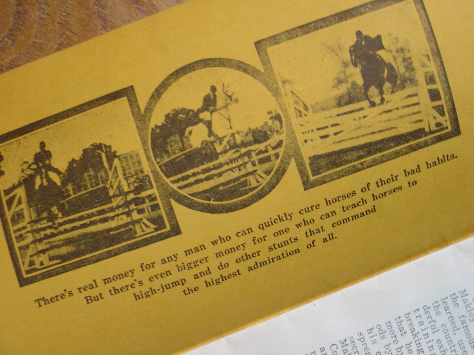 Vintage Antique Advertising Trick Horse Training Brochure Pamphlet Ornery Horses
