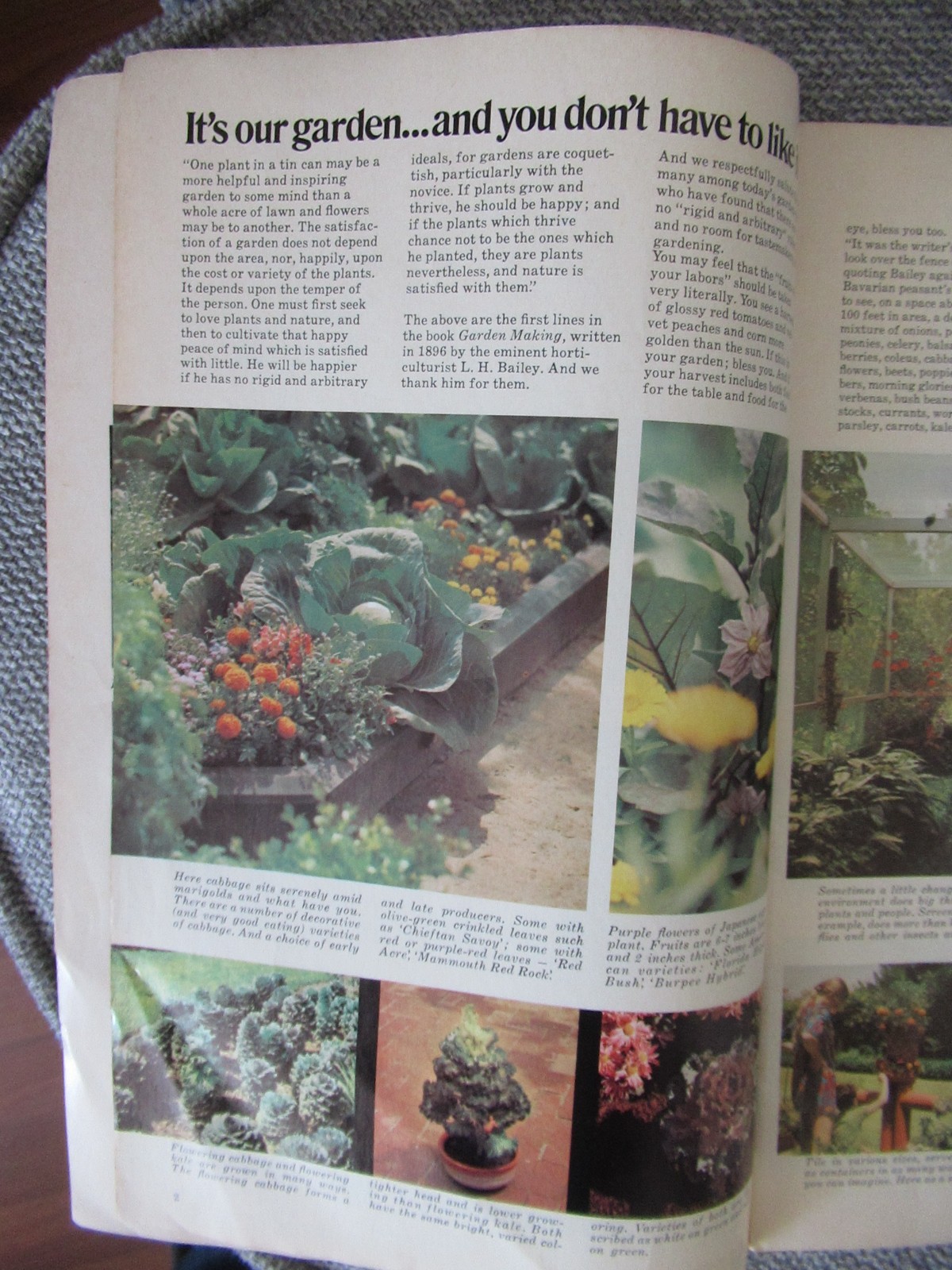 Ortho Chevron Lawn and Garden Book Brochure BA Chemical Company 34 pages 1970