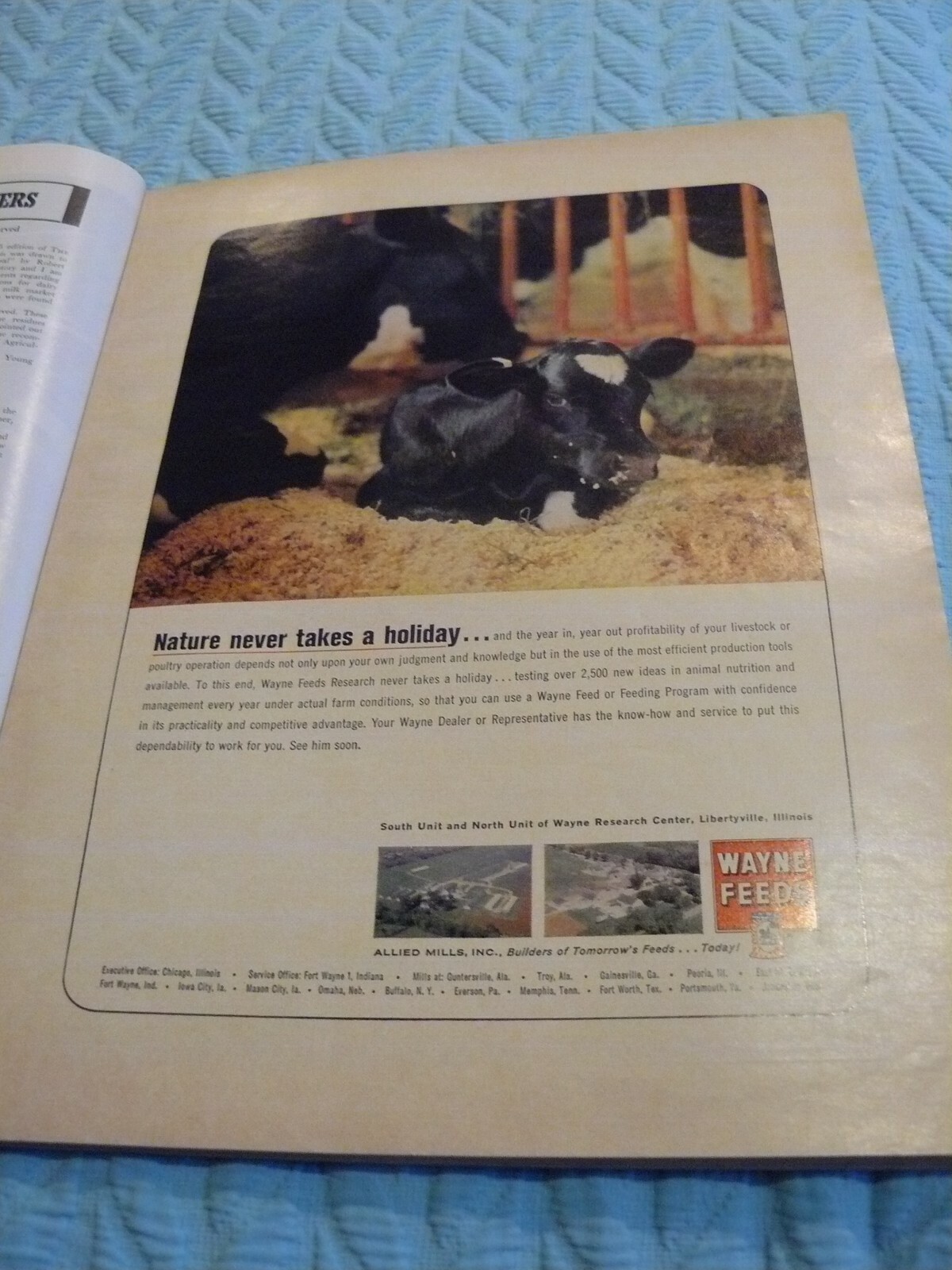 THE FARM -AD- FALL 1965 – WAYNE FEEDS – NATURE NEVER TAKES A HOLIDAY COLOR