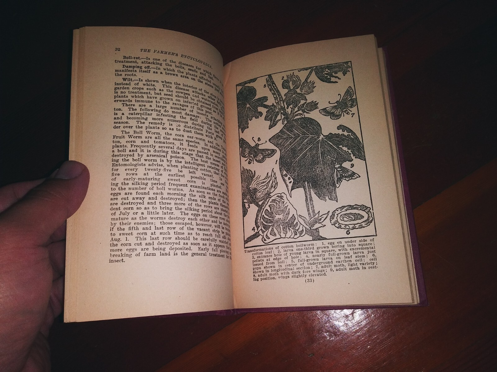 The Farmer’s Encyclopedia Clifford Manning J. I. Case Plow Works 1905