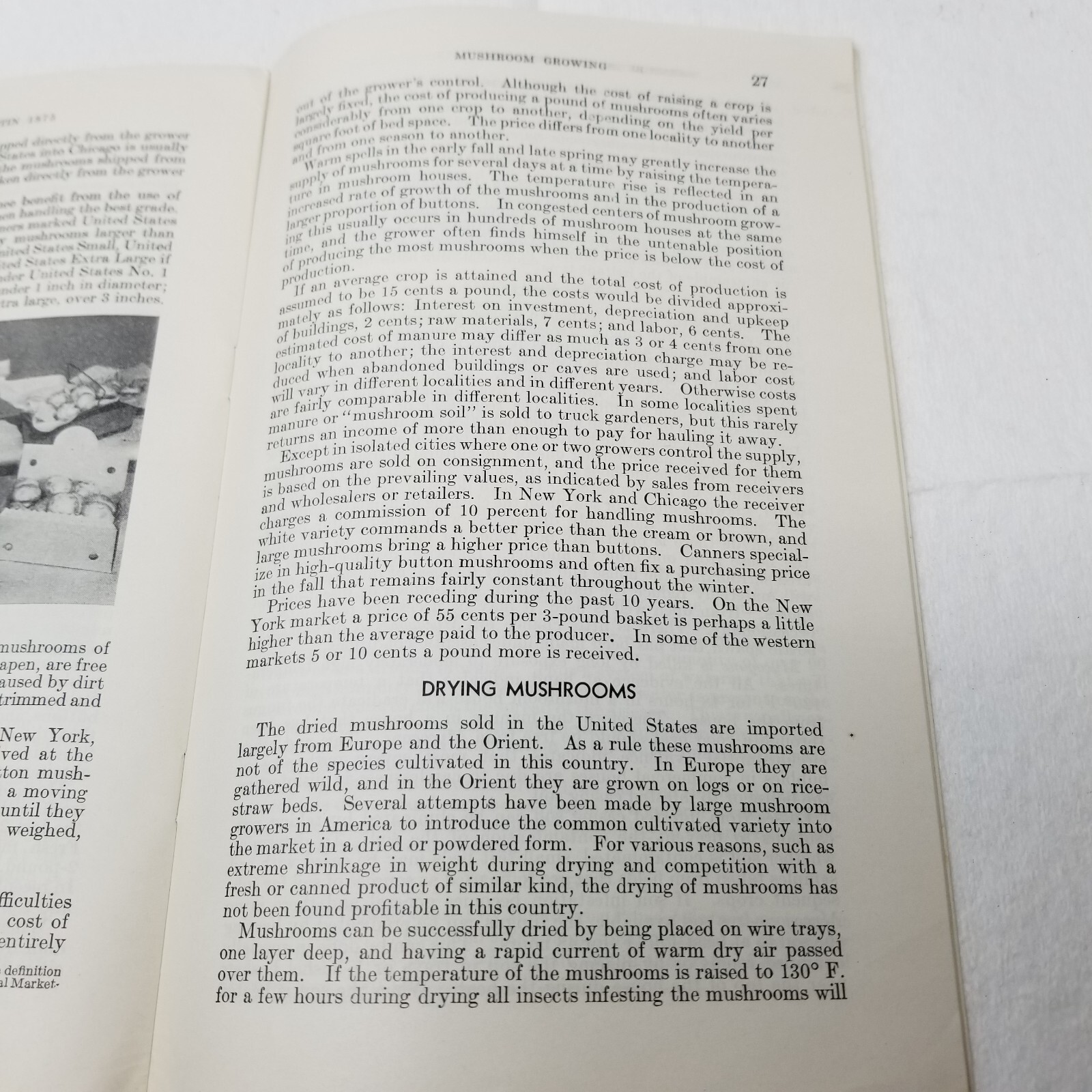 Mushroom Growing 1941 Farmers’ Bulletin Booklet 1875 USDA Photos Charts