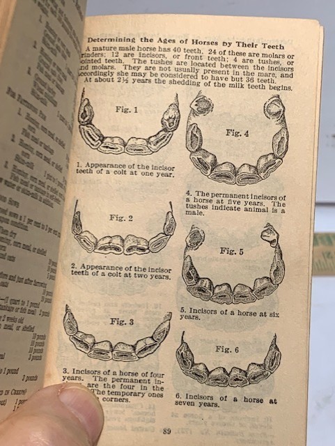 1939 DELAVAL DIARY & FARMERS POCKET HANDBOOK USEFUL INFO 148 PAGES 4.75’X2.75”.
