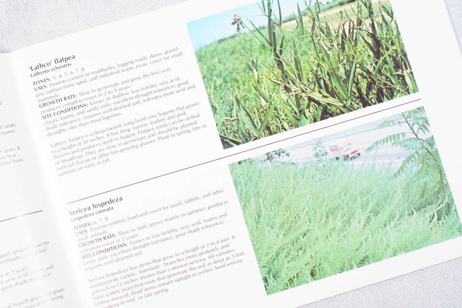 1977 USDA Conservation Plants for the Northeast Agricultural Brochure No. 1154