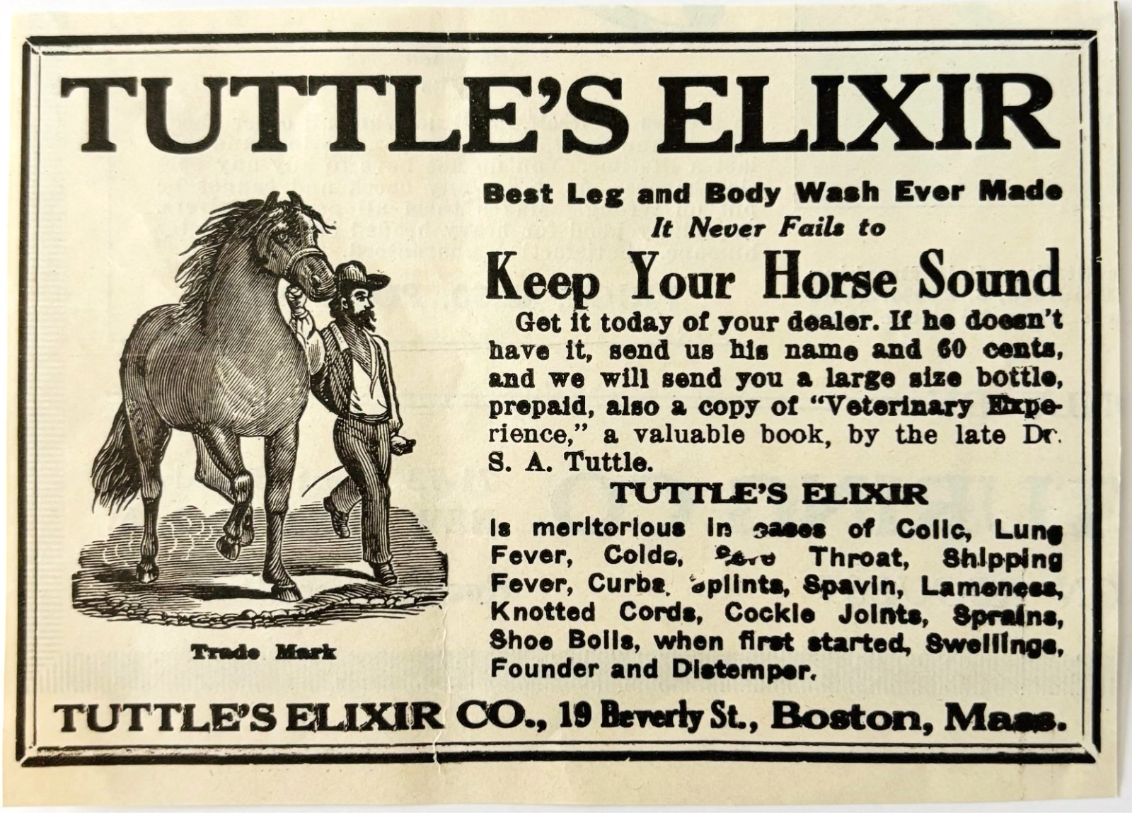 1920 Tuttle’s Elixir Advertisement Horse Harness Racing Body Wash Boston E4A