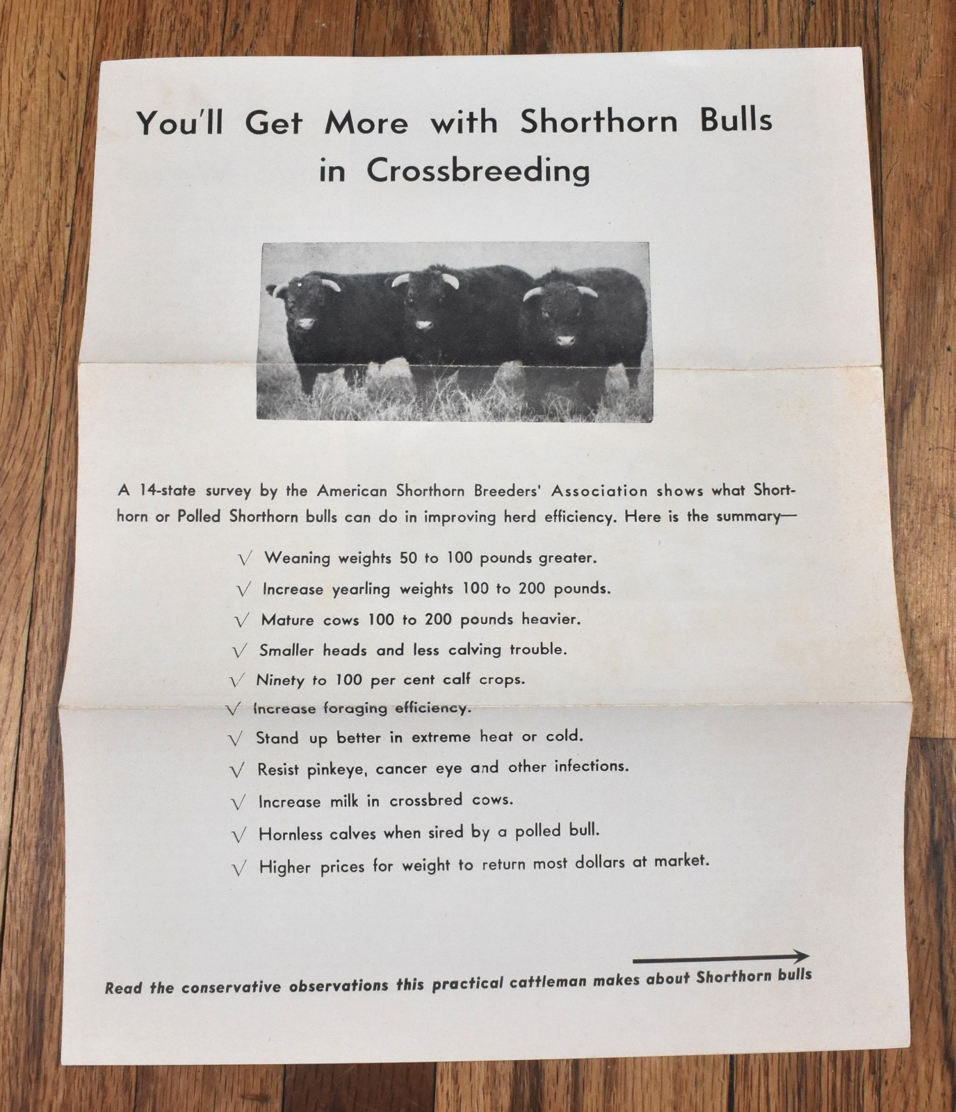 Vintage Shorthorn Bulls Crossbreeding Livestock Farming Farm Ranching Brochure