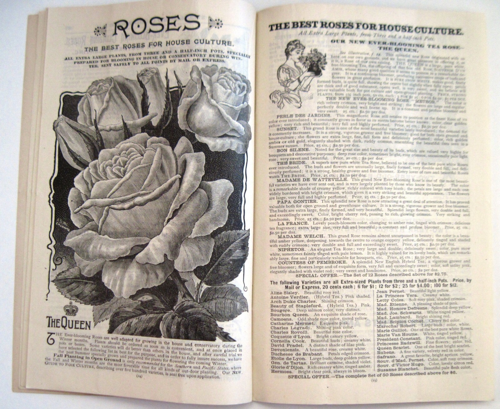 1889 Catalog “New Autumn Guide” for Holland Bulbs, Roses & Lilies & Seeds *