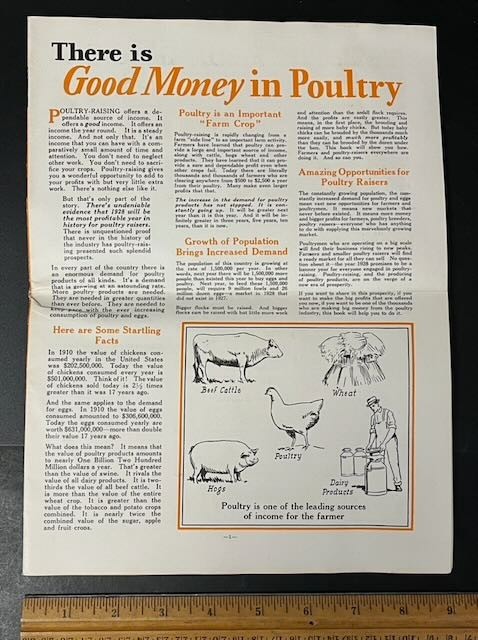 2 Newtown Colony Brooders Poultry Advertising Brochures Springfield OH 1930s/40s