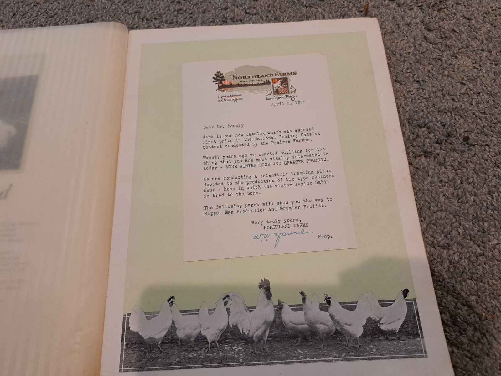 1928 Northland Winter Layers Poultry Catalog Chickens