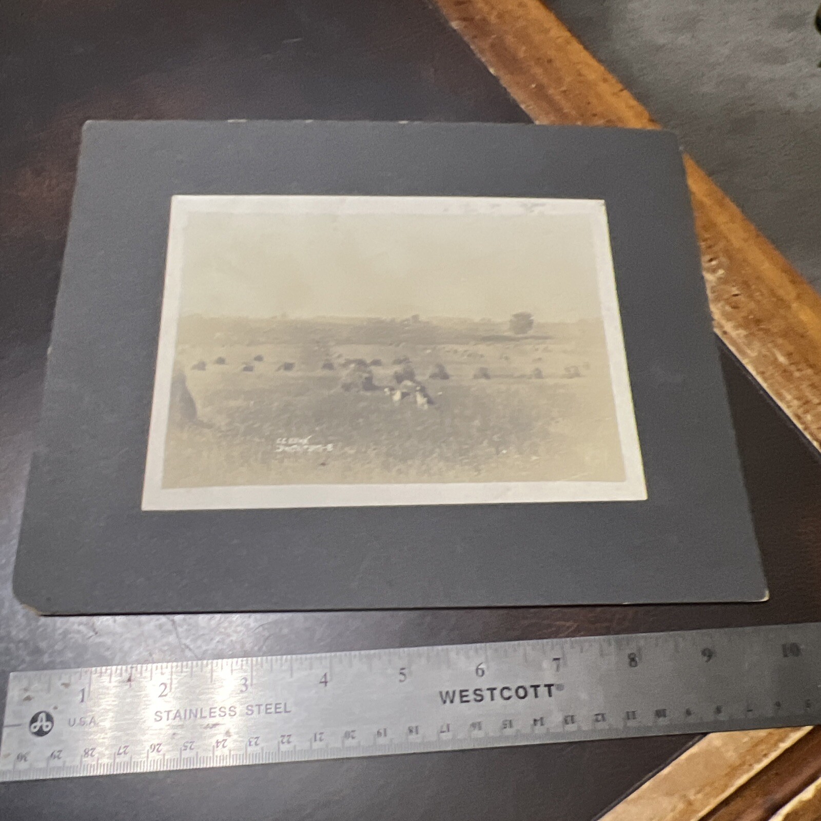 Vintage 1800s Farming Farm Implement Photograph Hayfields & Dogs