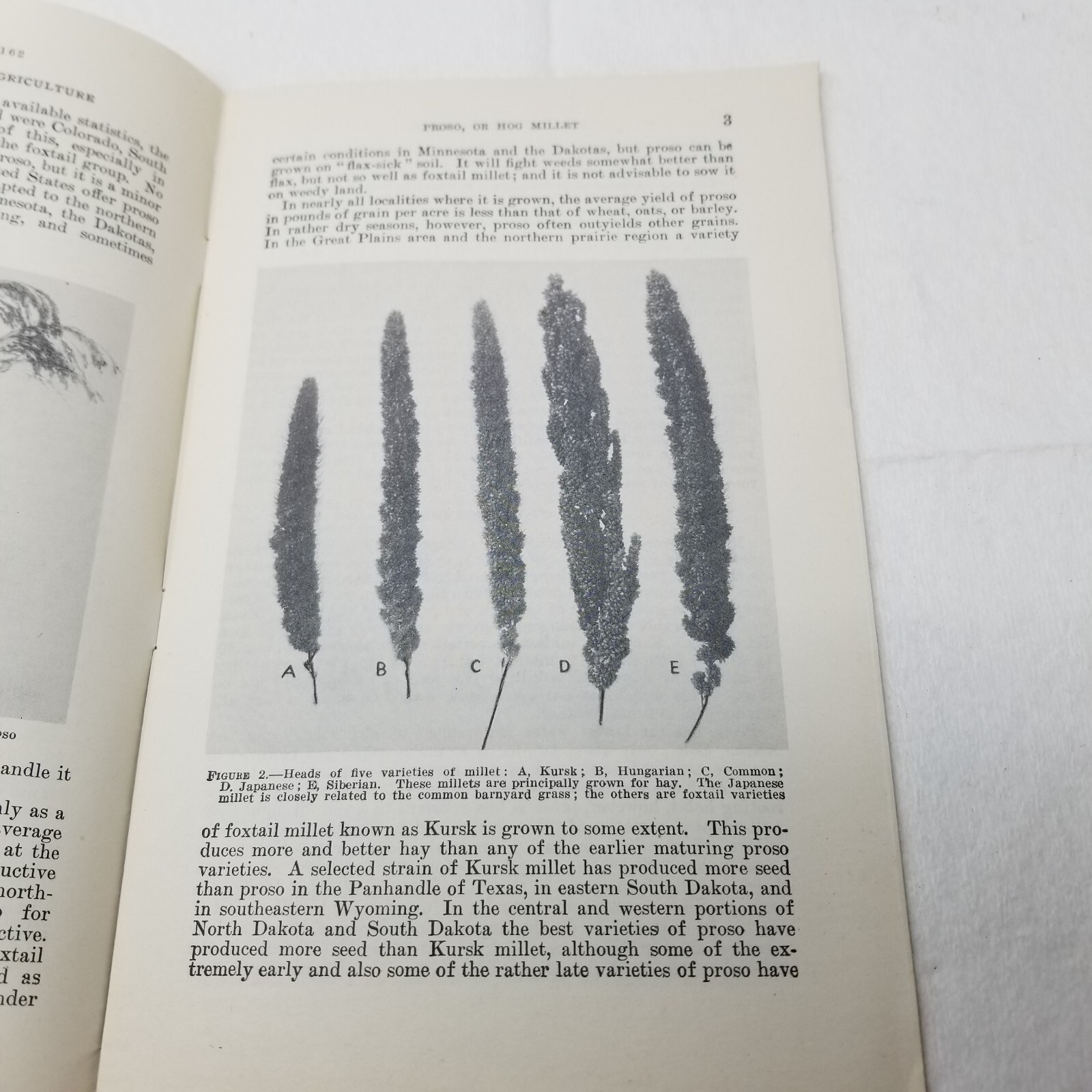 Proso Hog Millet 1937 Farmers’ Bulletin Booklet 1162 USDA Photos Charts