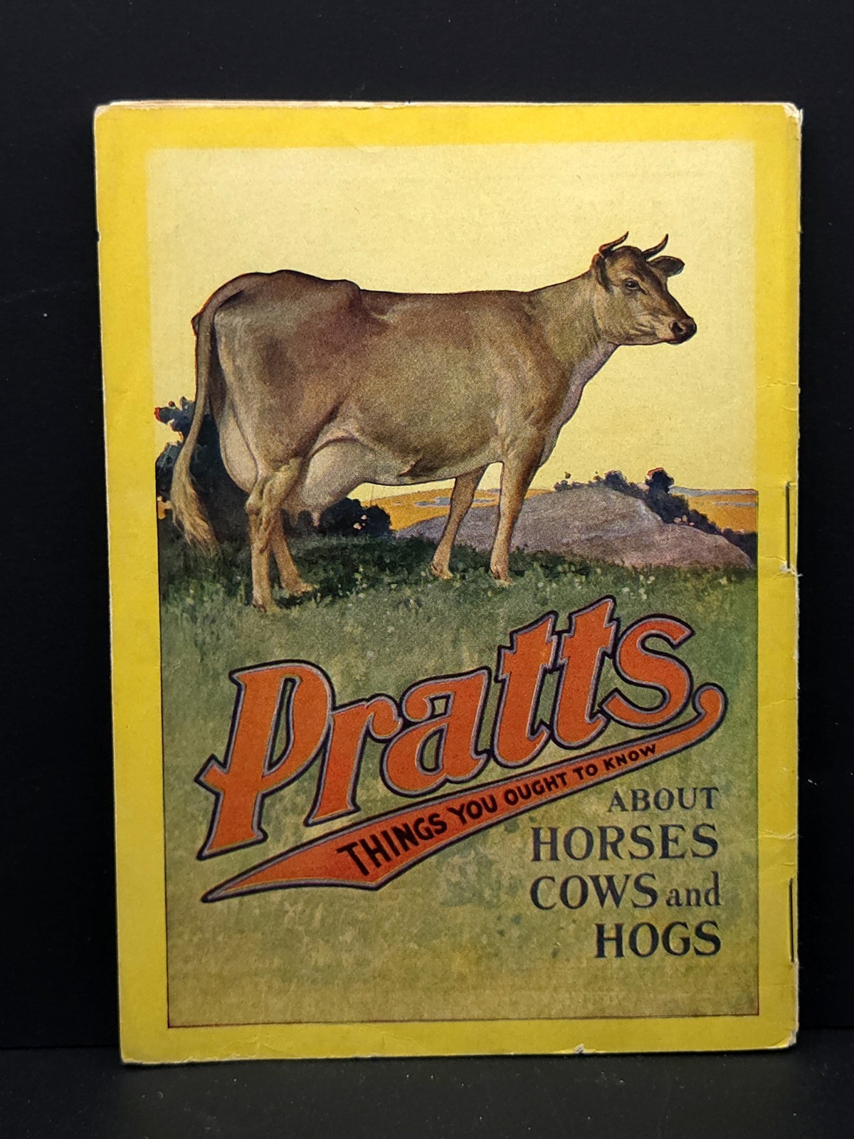 Pratt’s Agricultural Farm Animal Feed Book on Raising Horses Cows & Hogs c.1911