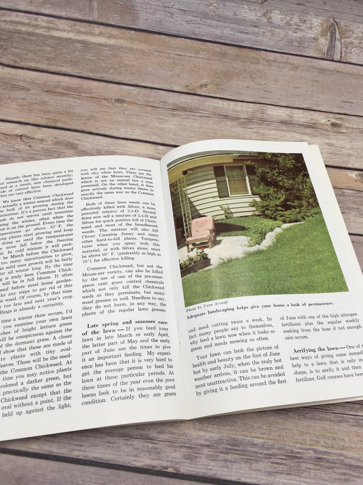 Vintage 1965 Better Lawns Pamphlet Booklet Sold Bolens Authorized Dealers