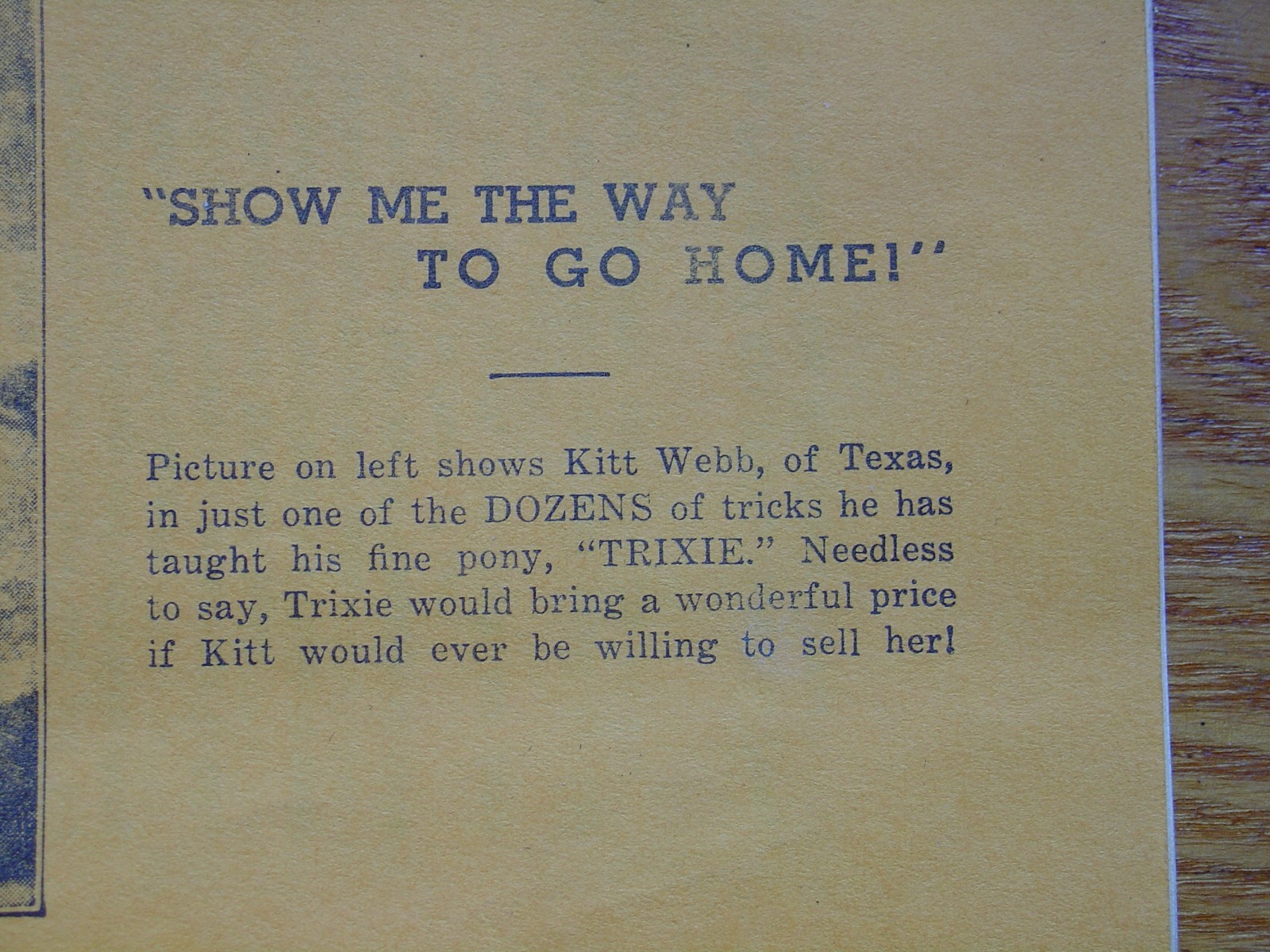 Vintage Antique Advertising Trick Horse Training Brochure Pamphlet Ornery Horses