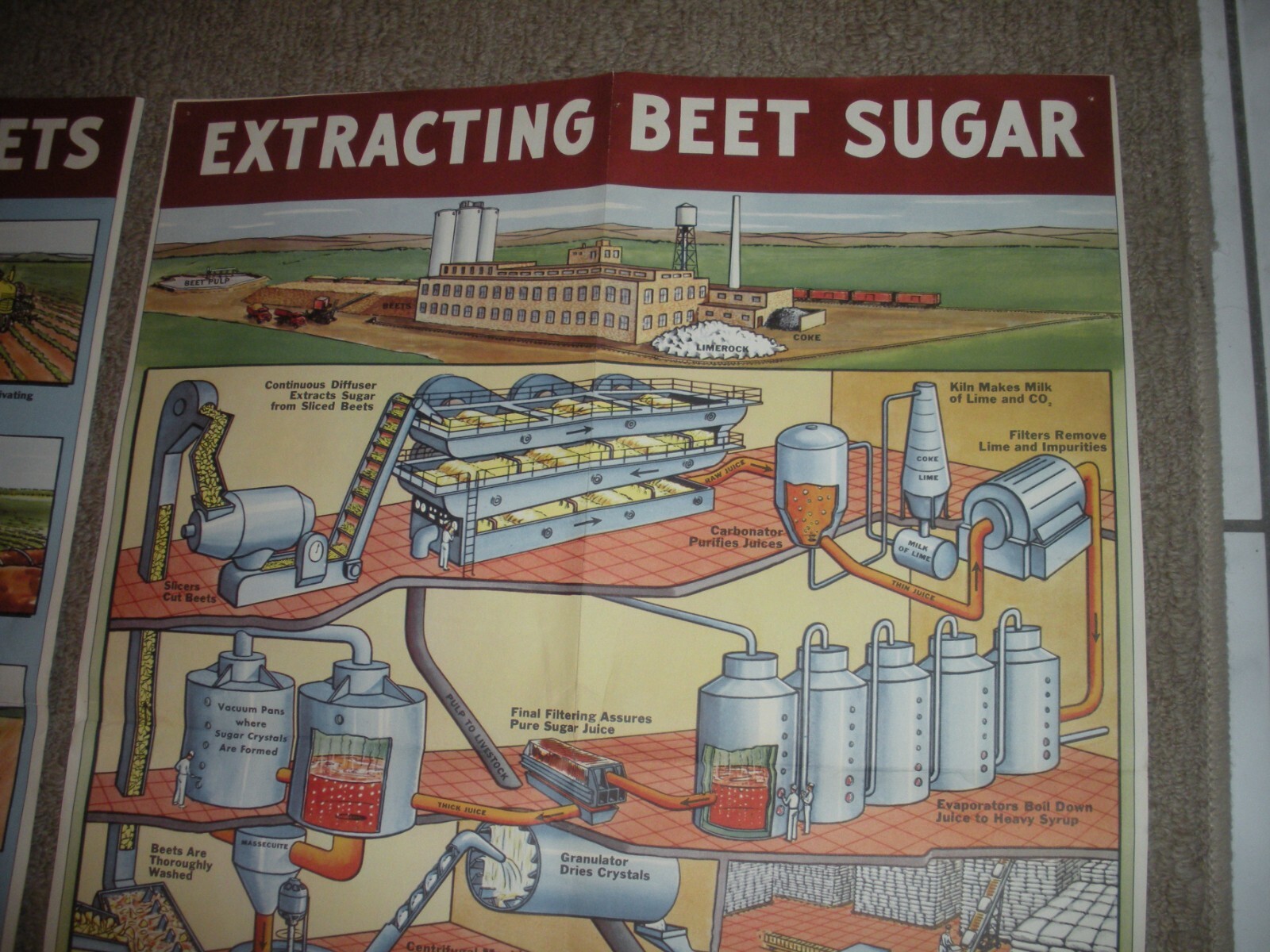 Rare Vintage 1950’s? Extracting STORY Beet Sugar food Factory COMPLETE SET OF 4