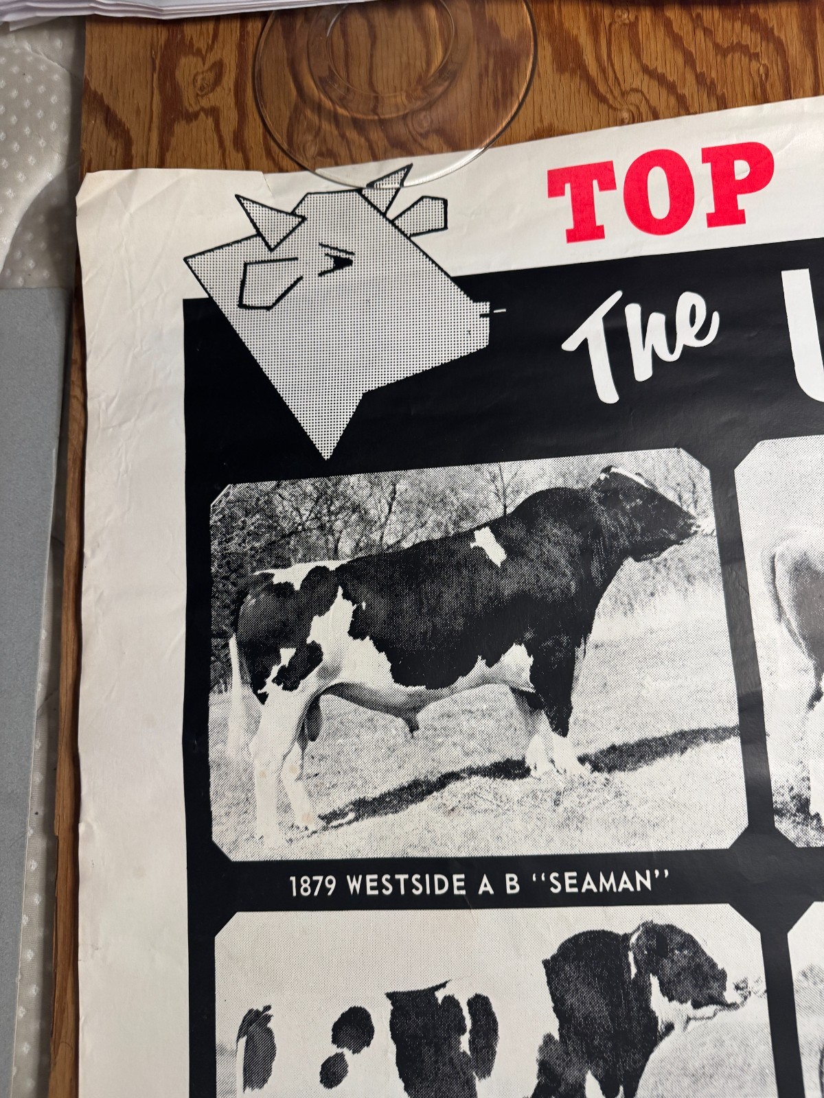 1970 TOP of the Lists The USDA Proofs ABS American Breeders Service Ad Poster