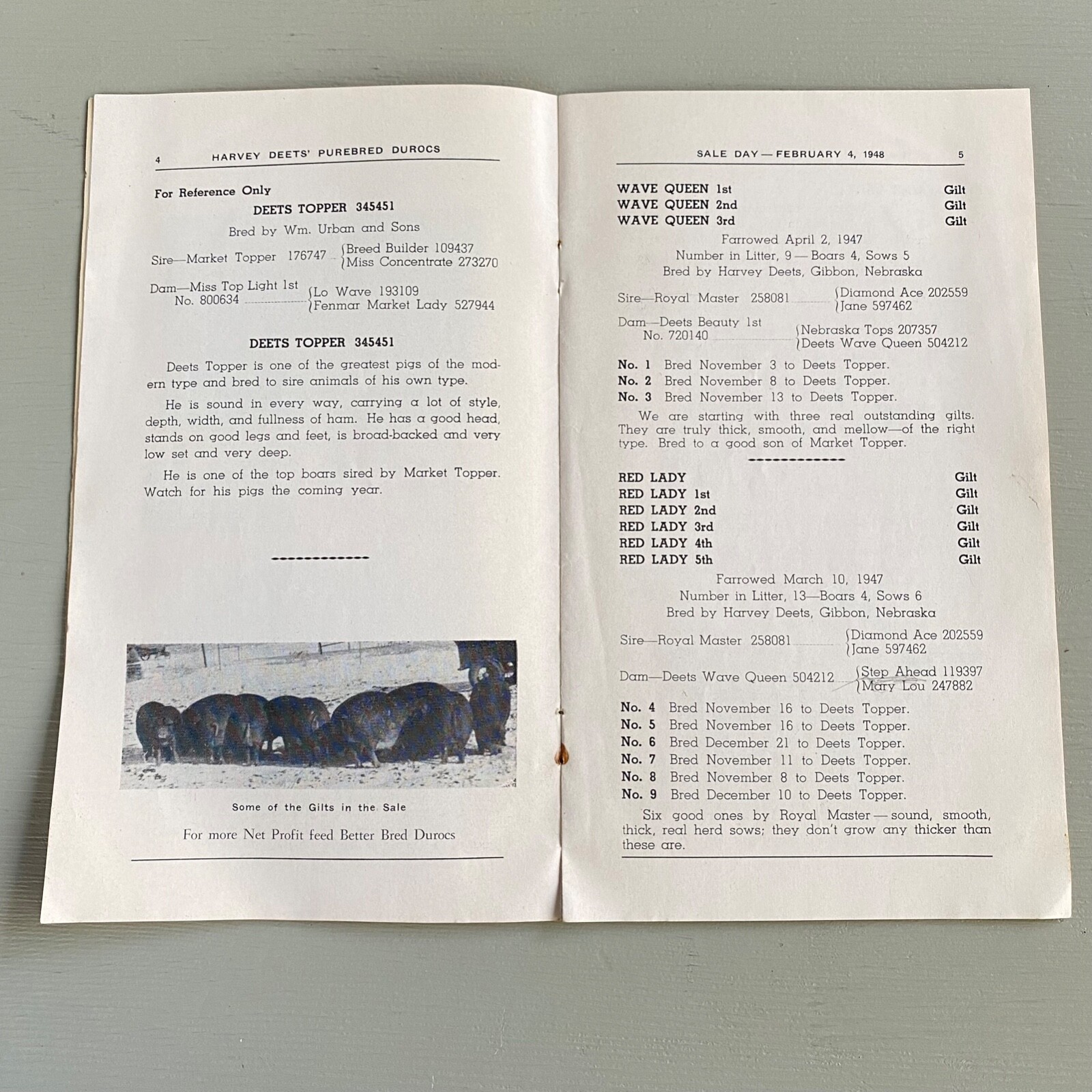 Vintage Purebred Durocs Hogs Pigs Sale Catalog Book Kearney Nebraska 1948