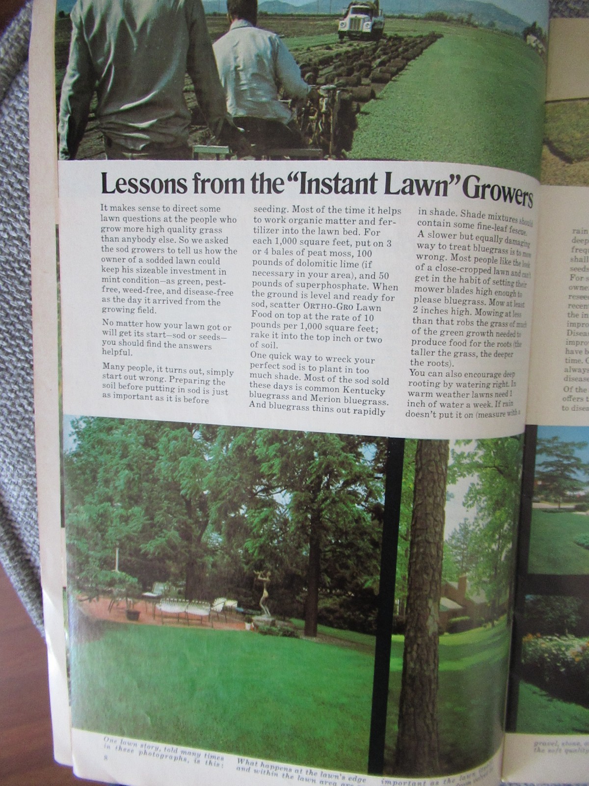 Ortho Chevron Lawn and Garden Book Brochure BA Chemical Company 34 pages 1970