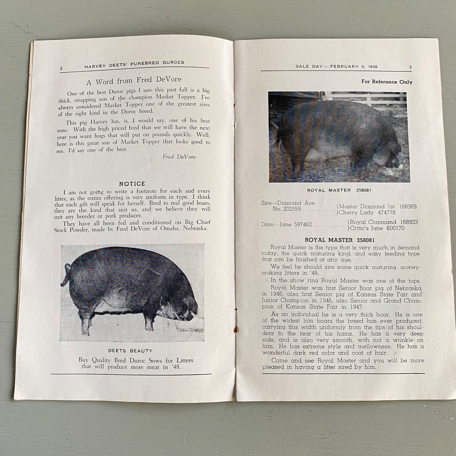 Vintage Purebred Durocs Hogs Pigs Sale Catalog Book Kearney Nebraska 1948