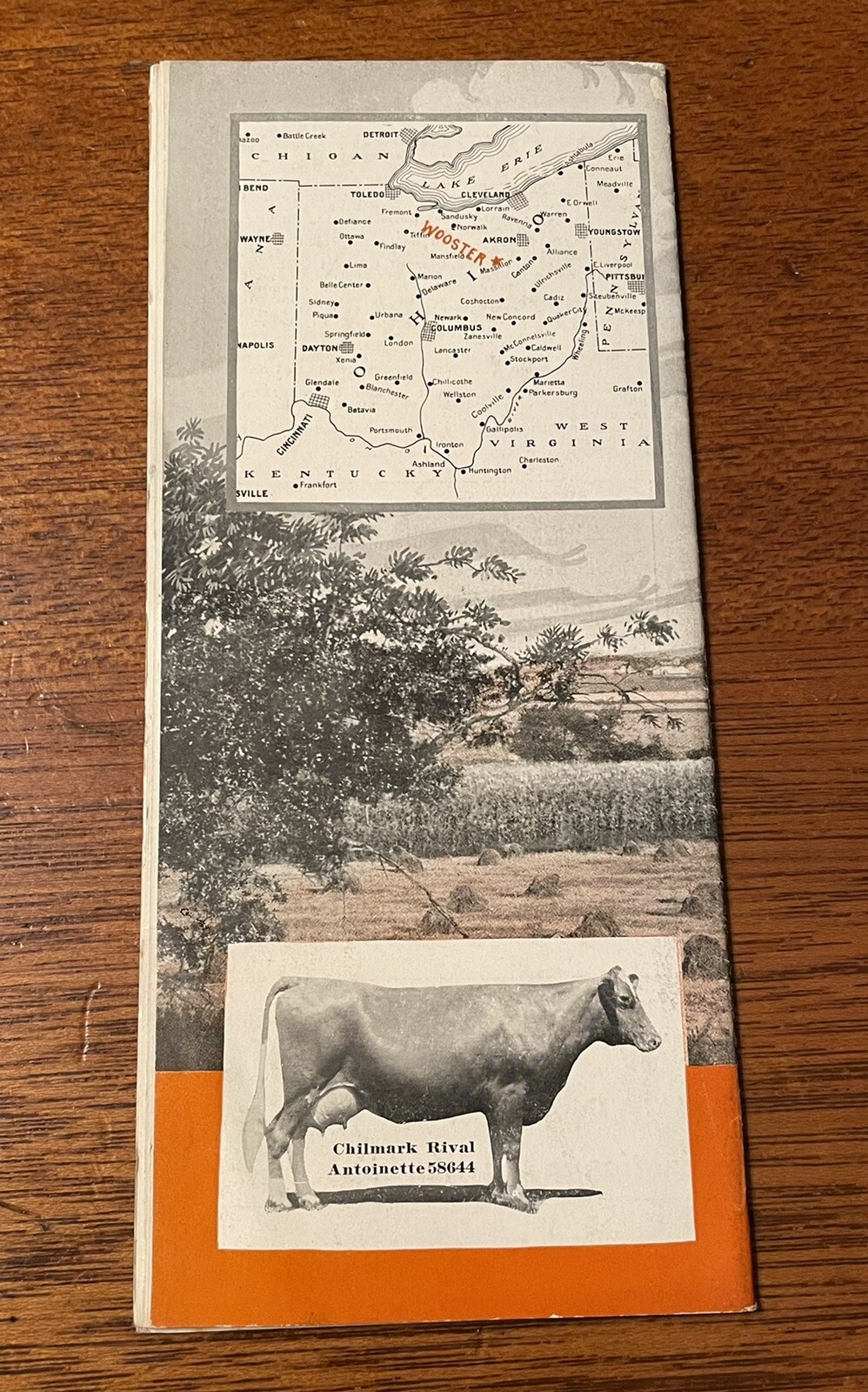Antique Brochure Wooster Wayne County Ohio JC McIntire For EA Strout Farm Agency