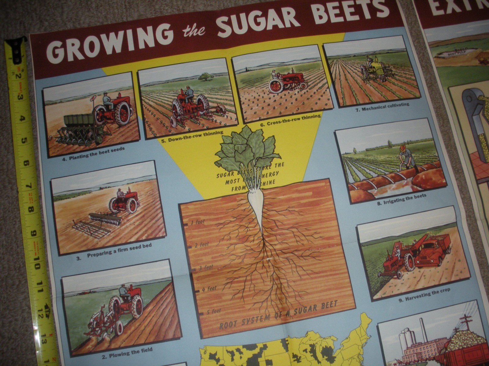 Rare Vintage 1950’s? Extracting STORY Beet Sugar food Factory COMPLETE SET OF 4
