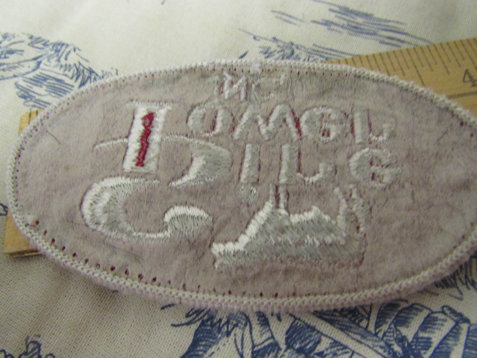 Vtg. “Sire Power Inc.” (Cattle Breeding) Employee Embroidered Patch