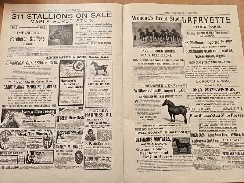 Nov 13, 1901 Breeder’s Gazette Weekly Union Stock Yards Intl Exposition Chicago