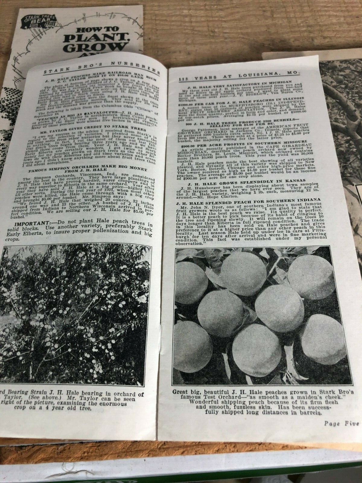 4 Vintage 1930s Stark Bro’s Nurseries Orchard Fruit Trees Brochures Catalogs