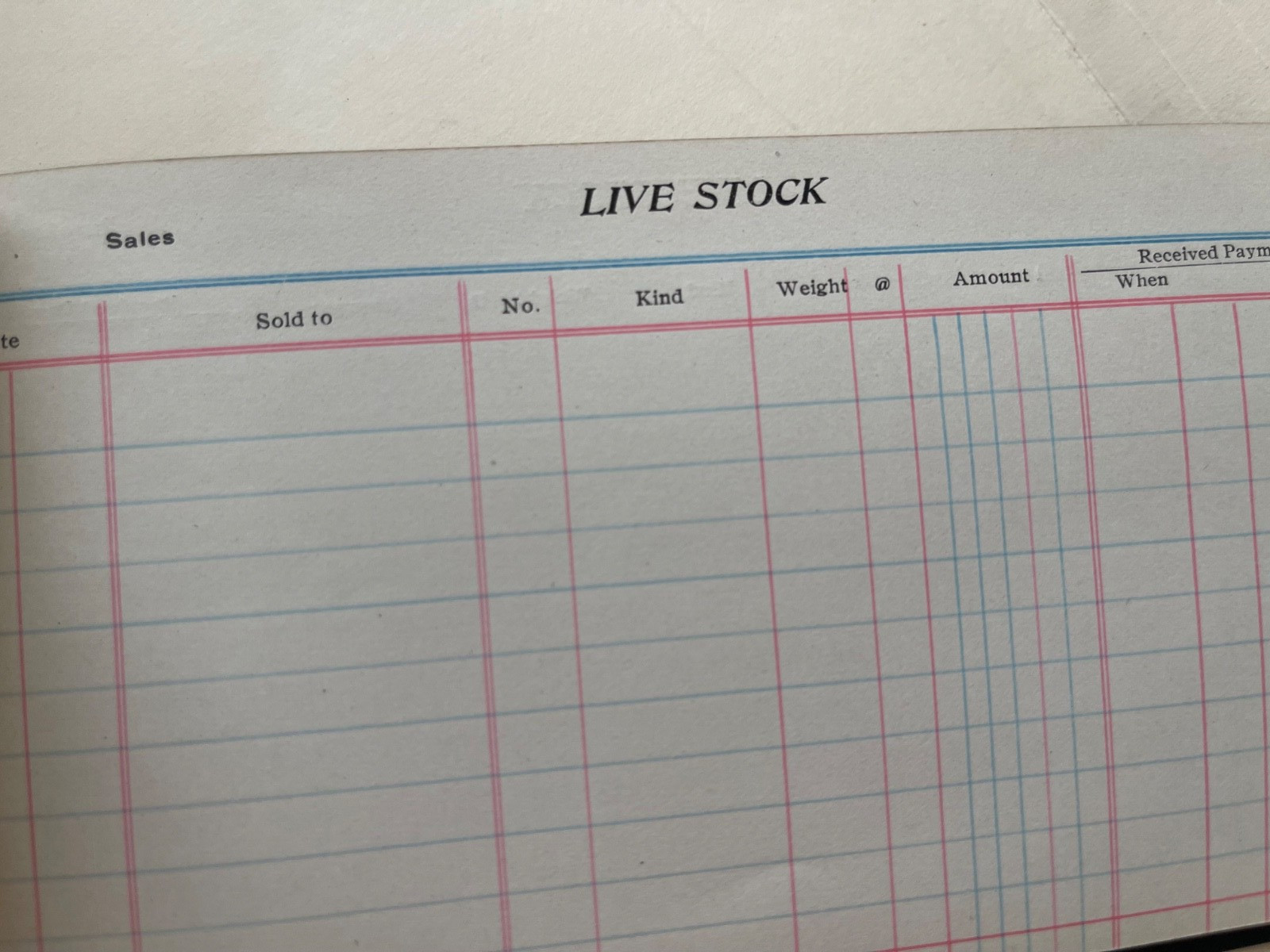 Old “Reed & Shelso Co. General Merchandise”, BROOTEN, MN Farmer’s Yearbook
