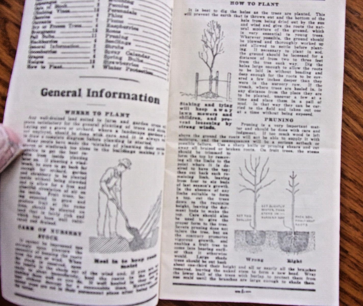 VINTAGE OWATONNA MINNESOTA CASHMAN NURSERIES PLANTING & CARE BROCHURE 1940’S?