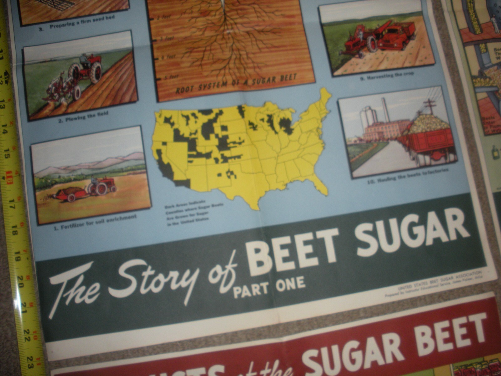 Rare Vintage 1950’s? Extracting STORY Beet Sugar food Factory COMPLETE SET OF 4