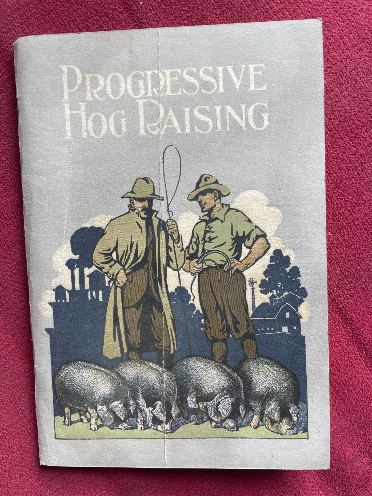 Progressive Hog Raising Booklet 1918 Vintage Original