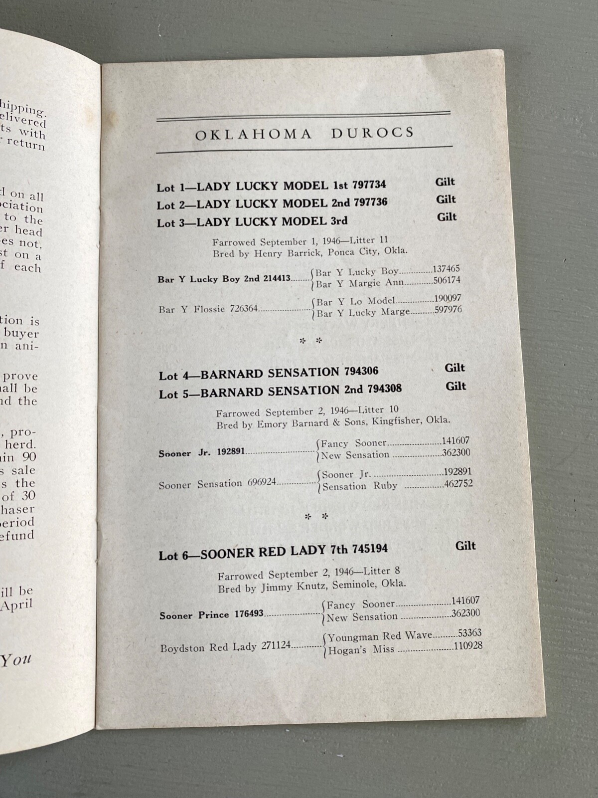 Vintage Durocs Hogs Pig Sale Catalog Book Oklahoma City OK 1947 Farm Ag Ephemera