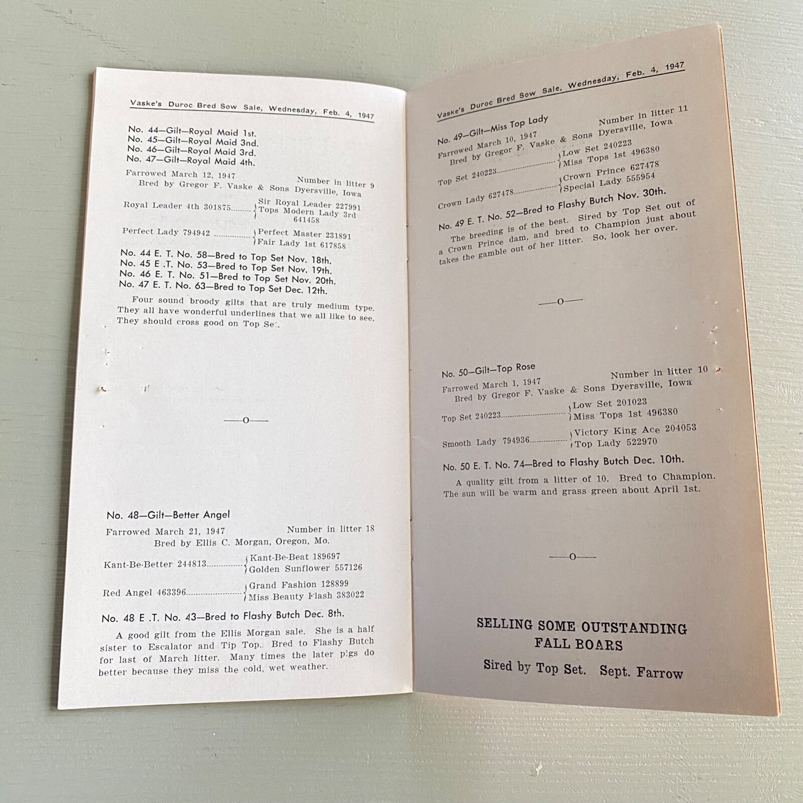 Vintage Duroc Bred Sow Hogs Pigs Sale Catalog Book Dyersville Iowa 1948 Farm Ag