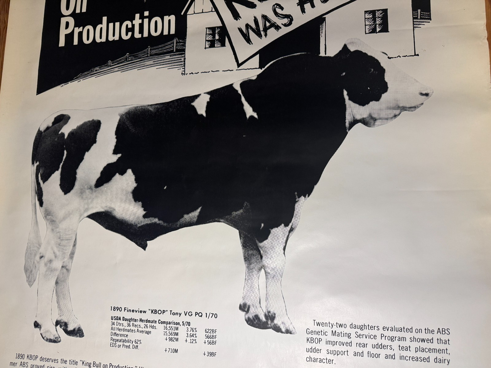 VTG 1970 King Bull on Production “KBOP” ABS American Breeders Service Ad Poster