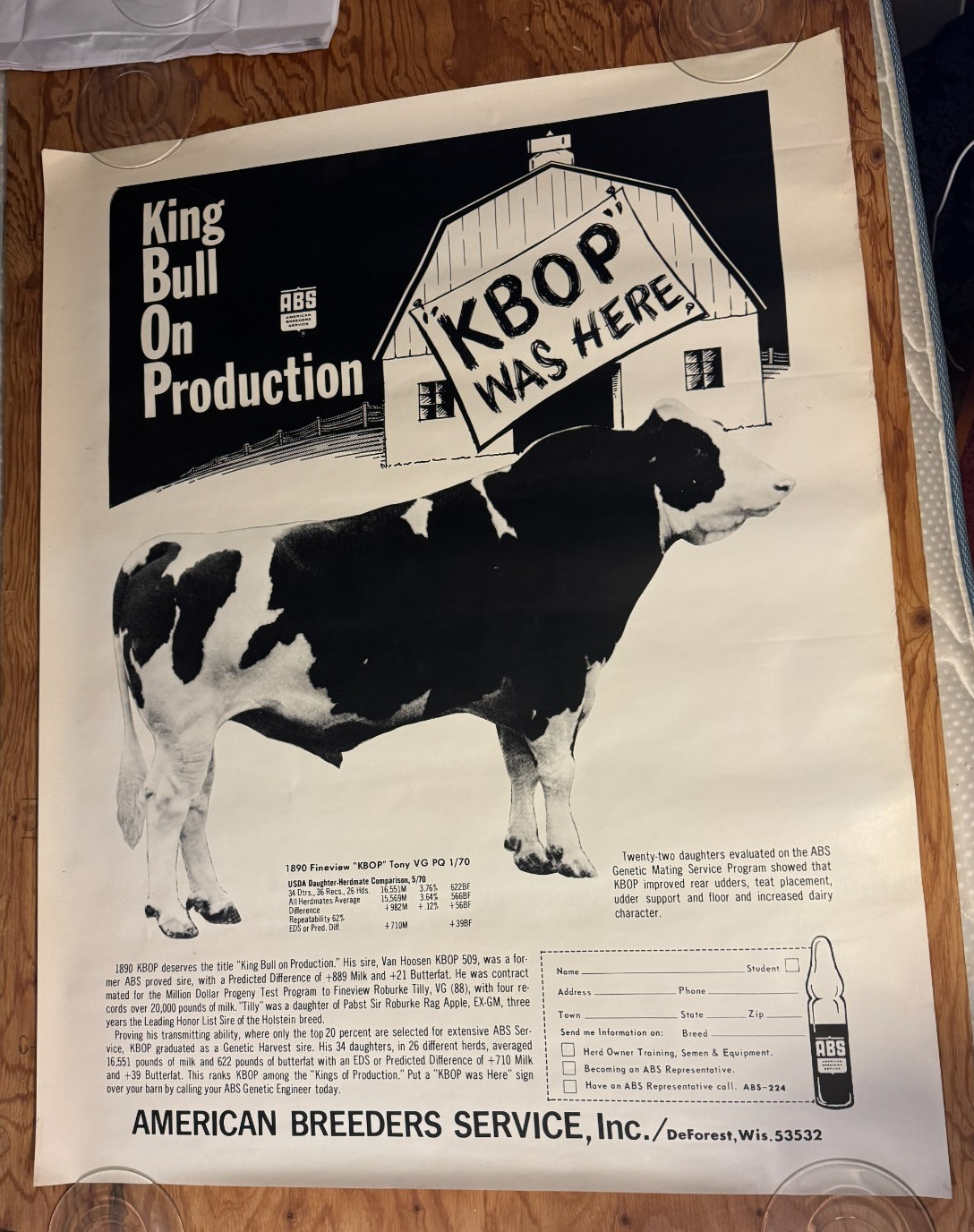 VTG 1970 King Bull on Production “KBOP” ABS American Breeders Service Ad Poster