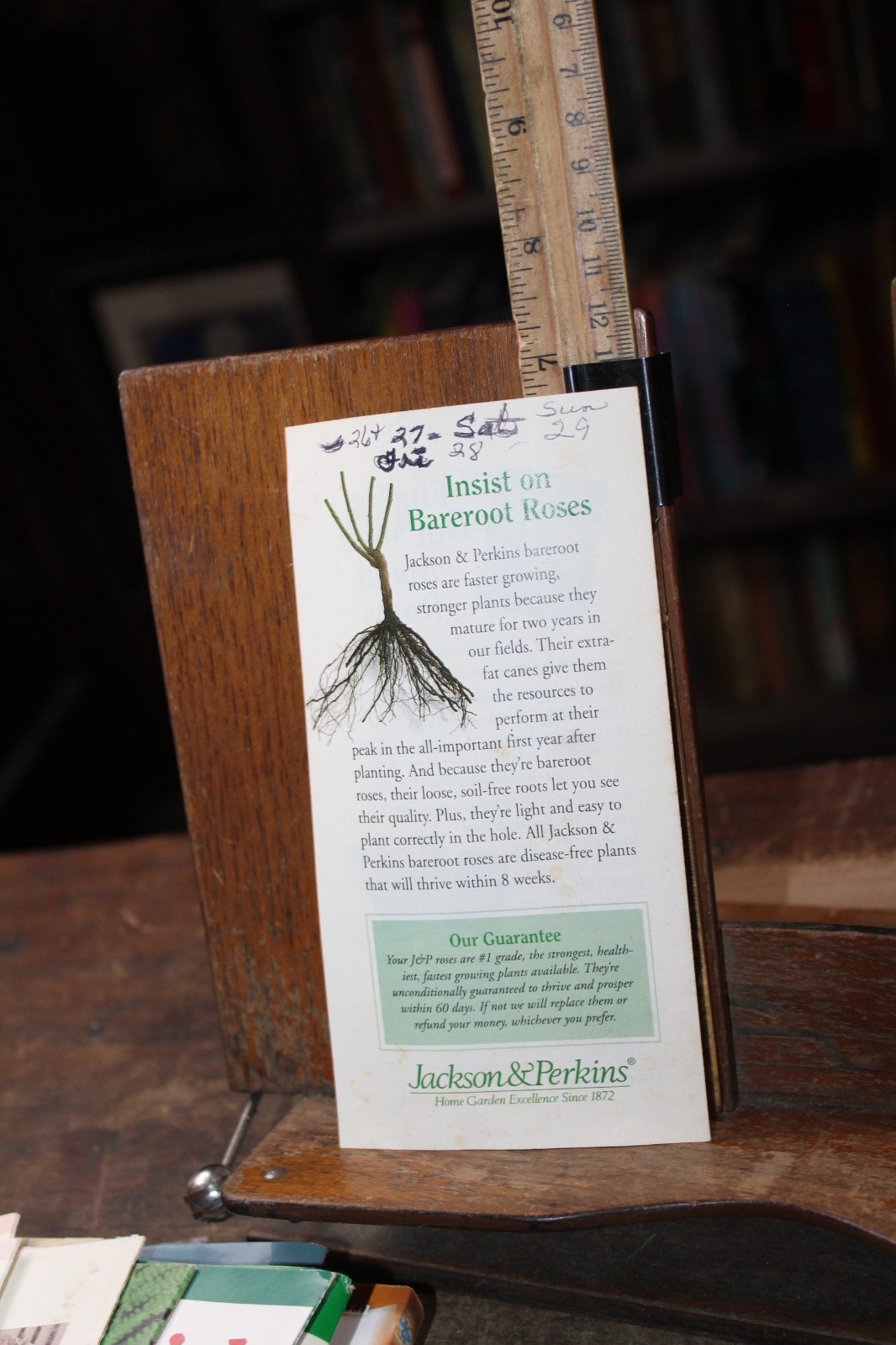 Vintage Gardening Brochure 1990’s Jackson & Perkins