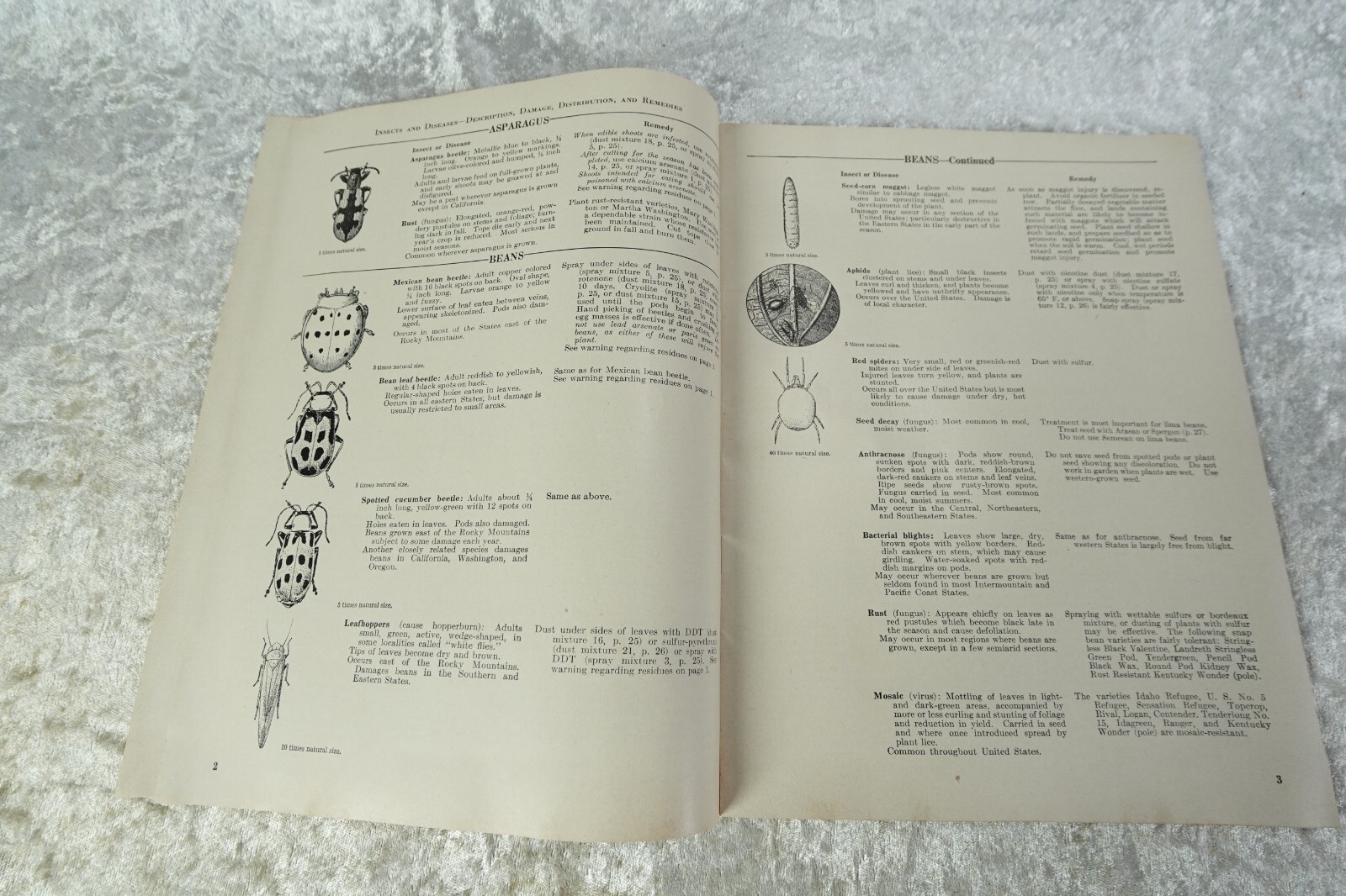 3 Vintage 1953, ’55 Vegetable Flower Gardener Handbooks Park Seed Catalog 1976