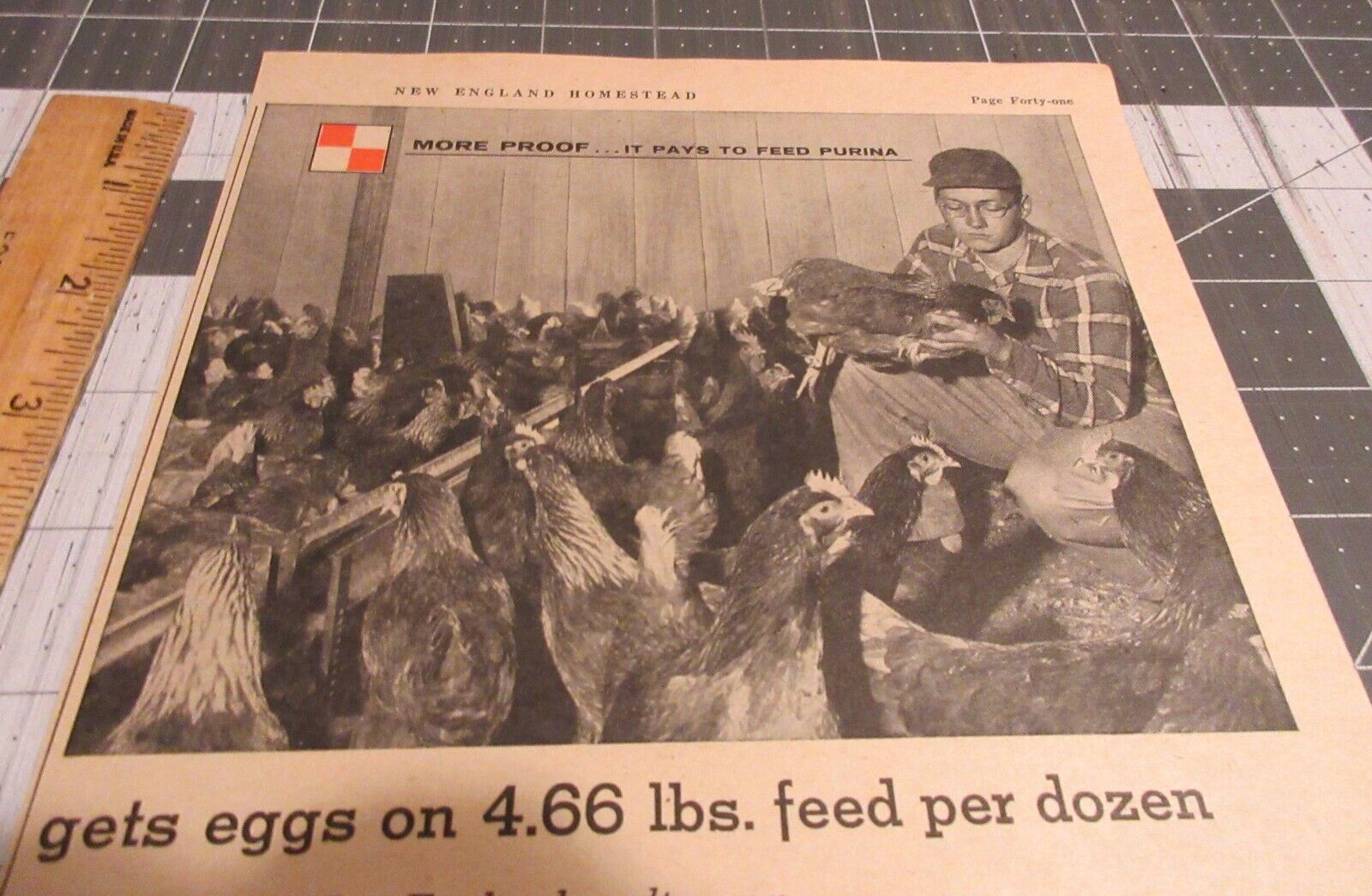 1958 Purina Poultry Chows, Proof it pays to feed Purina, Print Ad