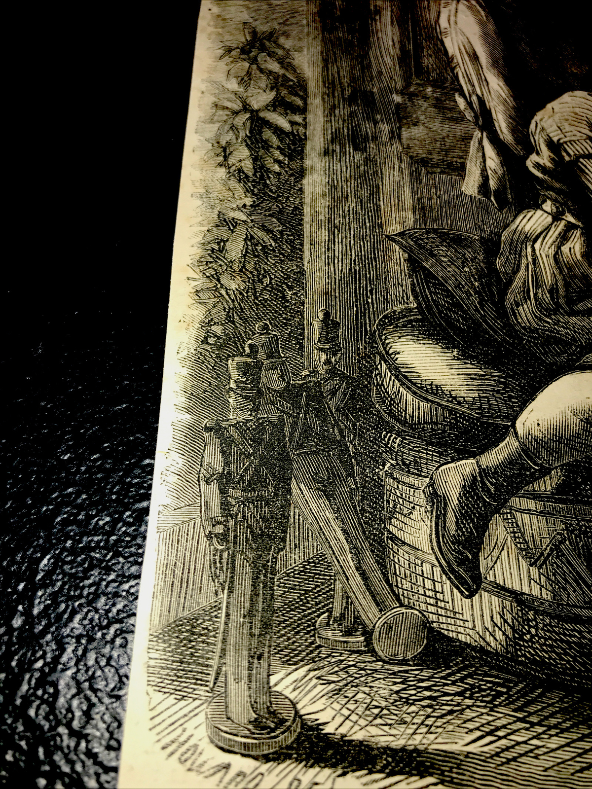 ORIGINAL 1872 TEACHING ZIP TO READ Engraving Advertising Dog Cat